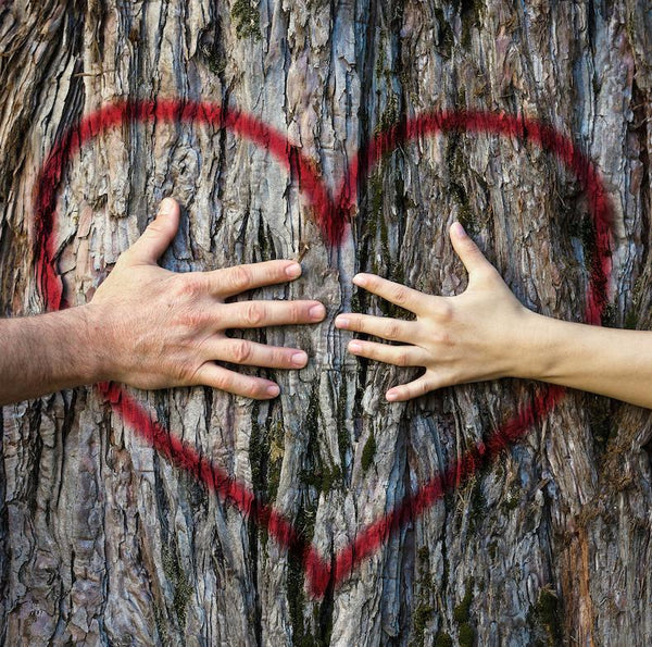 How to Have a Sustainable Valentine's Day