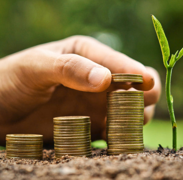5 Easy Ways to Go Green with Your Finances