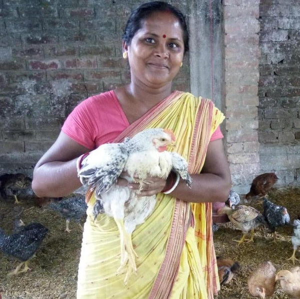 Shivia: Empowering People Through Poultry