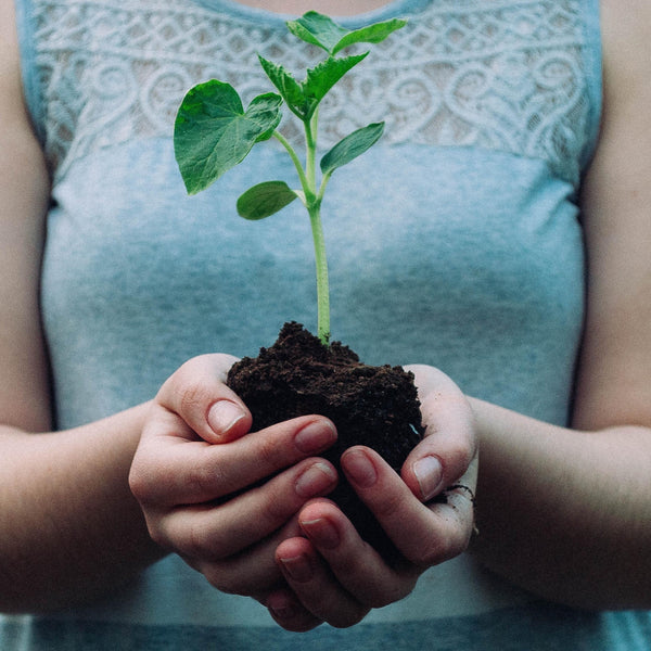 7 Positive Things You Can Do For The Planet