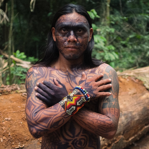 Indigenous Peoples: Guardians Of The Forest