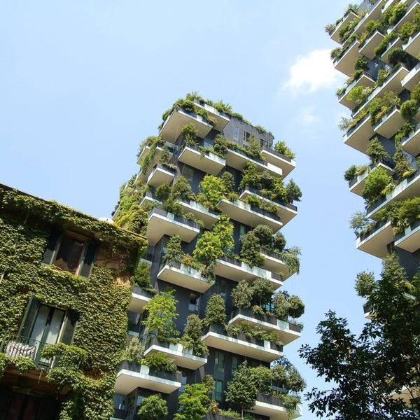 Why Sustainable Cities Are Vital