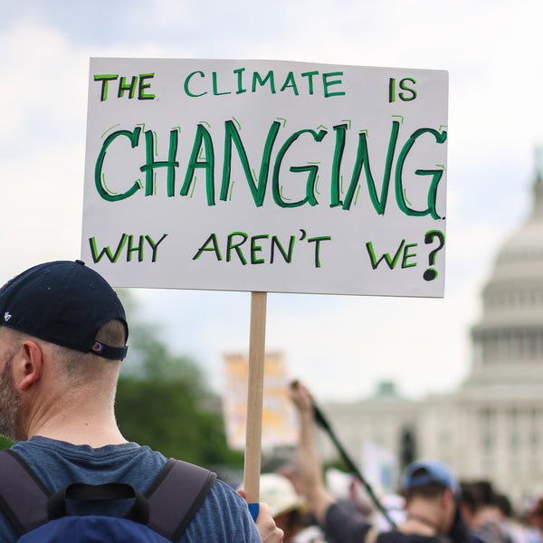 The Climate Crisis - What People REALLY Think